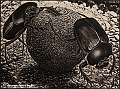 VBS_4834 - Mostra Escher